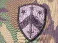 230th Sustainment Brigade, Army ACU Patch with Velcro