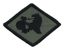 266th Finance Central Army ACU Patch with Velcro