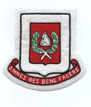 27th Engineer Battalion (CST), 3rd design Custom made Cloth Patch
