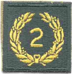 2nd Meritorious Award Army Green Border AG44 - Saunders Military Insignia