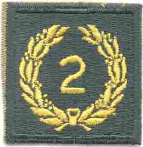 2nd Meritorious Award Army Green Border AG44