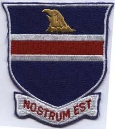 326th Airborne Engineer Battalion Custom made Cloth Patch