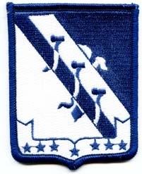 334th Airborne Infantry Custom made Cloth Patch