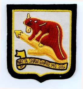 346th Engineer Regiment Custom made Cloth Patch - Saunders Military Insignia