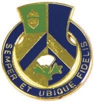 347th General Hospital Unit Crest