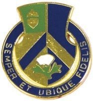 347th General Hospital Unit Crest - Saunders Military Insignia