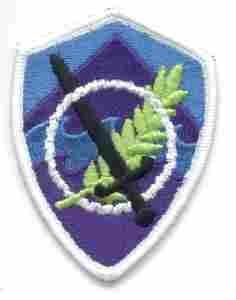 350th Civil Affairs Patch (Command) - Saunders Military Insignia