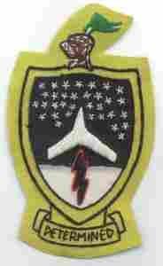 352nd Bombardment Wing Patch - Saunders Military Insignia