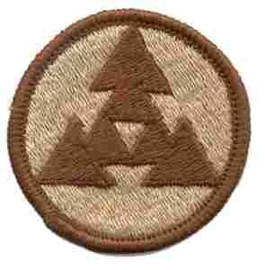 3rd Logistical Support Command Patch, Desert Subdued