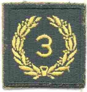 3rd Meritorious Award Army Green Border AG44 - Saunders Military Insignia