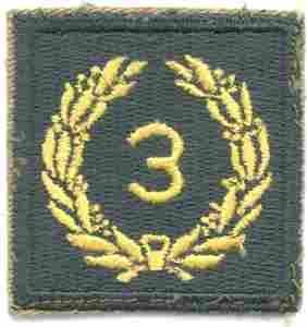 3rd Meritorious Award Army Green Border AG44