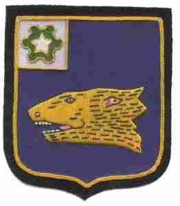 40th Infantry Regiment, Patch