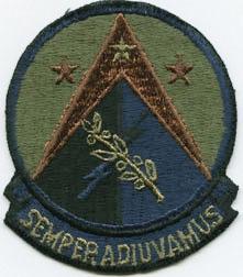 410th Field Maintenance Squadron Subdued Patch