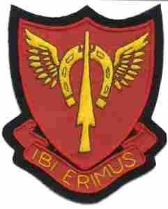 465th Field Artillery was 865th Custom made Cloth Patch