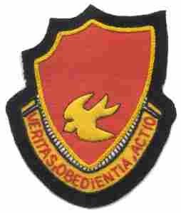 46th Field Artillery Battalion Custom made Cloth Patch