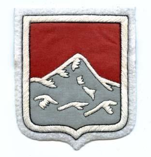 49th Engineer Regiment (Later Battalion) Custom made Cloth Patch