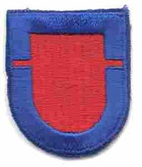 501st Airborne 1st Battalion Flash - Saunders Military Insignia