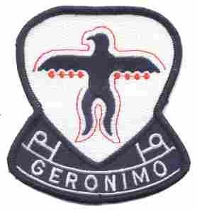 501st Airborne Infantry Patch (Regiment)