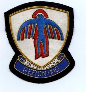 501st Airborne Infantry Regiment, bullion patch Custom made Cloth Patch