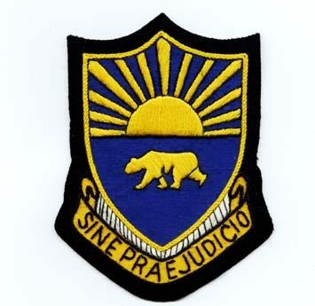 508th Military Police Battalion Custom made Cloth Patch