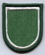 511th Infantry Regiment Flash - Saunders Military Insignia