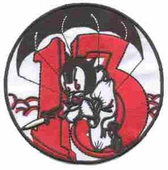 513rd Parachute Infantry Patch - Saunders Military Insignia