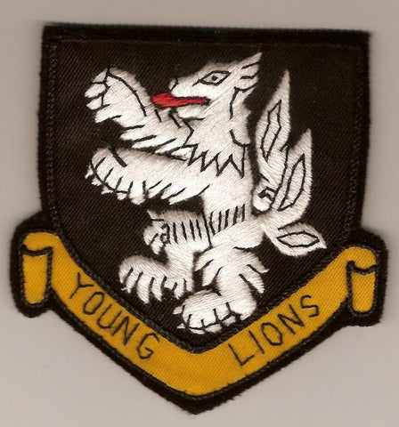 525th Military Intelligence Group Patch - Saunders Military Insignia