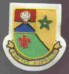 57th Tank Battalion, Custom made Cloth Patch - Saunders Military Insignia