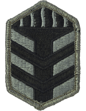5TH Brigade Training, Army ACU Patch with Velcro