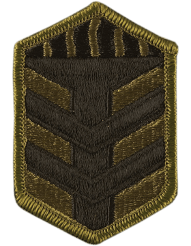 5th Brigade Training Patch, subdued