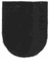 5th Special Forces Group Flash felt - Saunders Military Insignia
