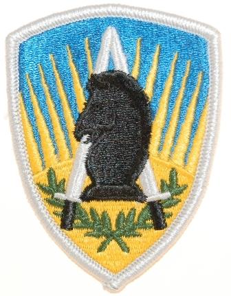 650th Military Intelligence Group Color Patch