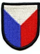 6th Special Operations Support Command Flash