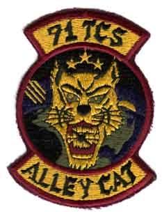 71st Tactical Control Squadron Subdued Patch