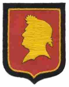 77th Antiaircraft Artillery Battalion Custom made Cloth Patch