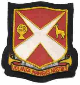 818th Engineer Battalion (Aviation) Custom made Cloth Patch - Saunders Military Insignia