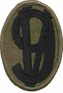 95th Division Training Subdued patch