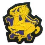 9th Cavalry Regiment Custom made Cloth Patch - Saunders Military Insignia