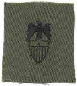 Aide Brigadier General Army Branch of Service insignia