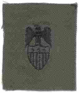 Aide Lieutenant General Army Branch of Service insignia