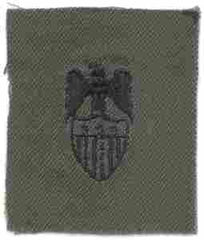 Aide Lieutenant General Army Branch of Service insignia - Saunders Military Insignia