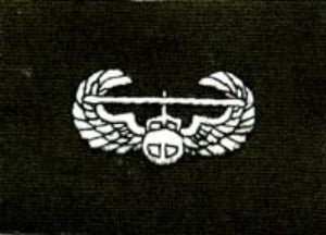Air Assault Wing, cloth, Olive Drab - Saunders Military Insignia