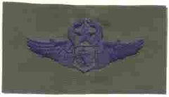 Air Battle Management Master USAF Wing - Saunders Military Insignia