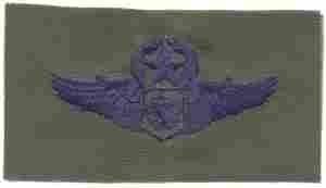 Air Battle Management Master USAF Wing - Saunders Military Insignia