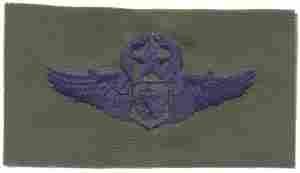 Air Battle Management Master USAF Wing