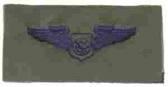 Air Battle Management USAF Wing - Saunders Military Insignia
