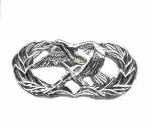 Air Force Air Munition and Maintenance Badge or Wing