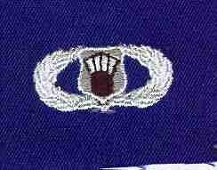 AIR FORCE AIR TRAFFIC CONTROLLER ON BLUE CLOTH - Saunders Military Insignia