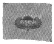 AIR FORCE BASIC PARACHUTIST BADGE ON SUBDUED CLOTH - Saunders Military Insignia