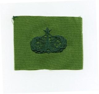 AIR FORCE BASIC PILOT BADGE ON SUBDUED CLOTH